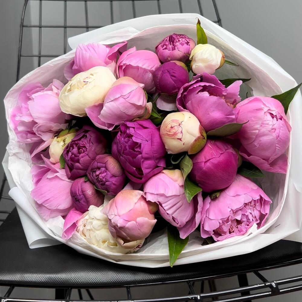 Peonie