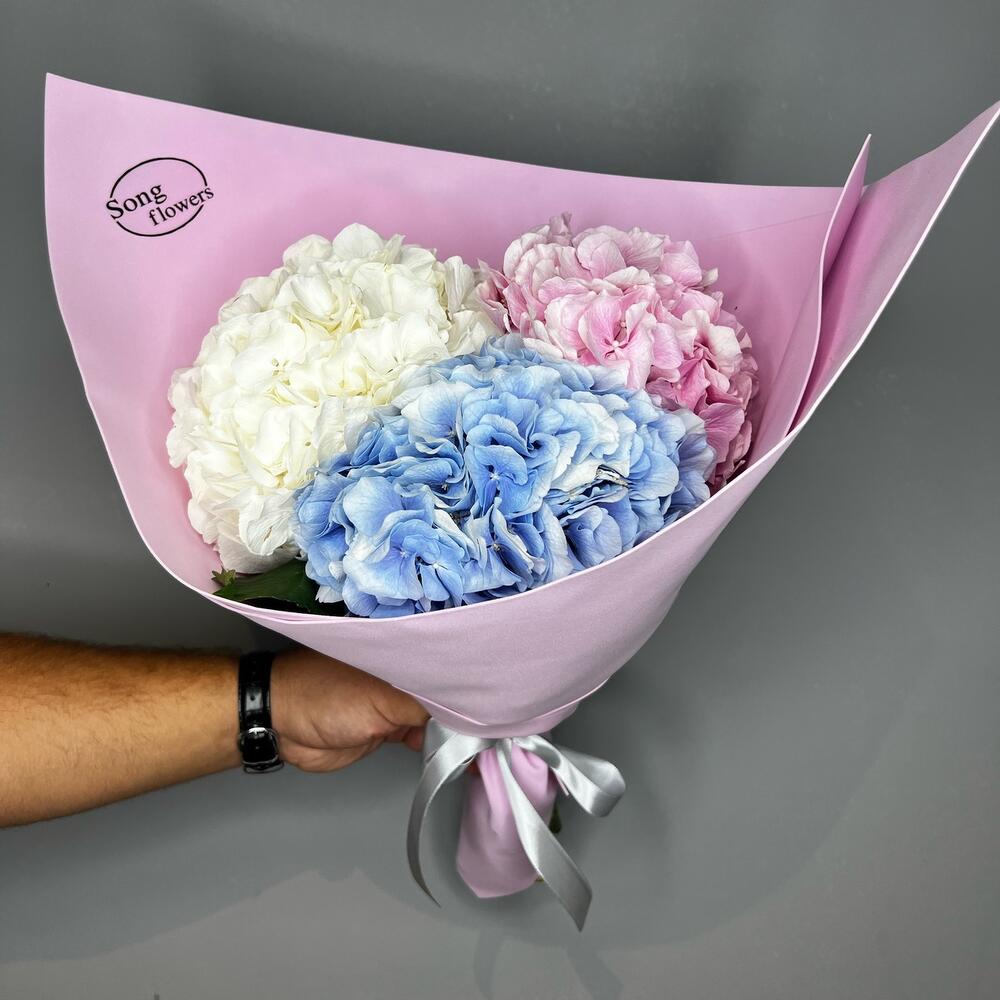 S Hydrangea Bubble